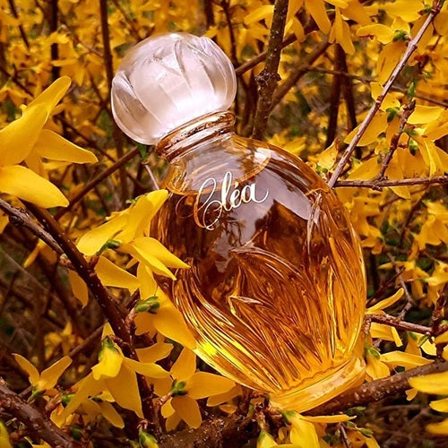 Yves Rocher Clea EDT, 2 oz - OleBella