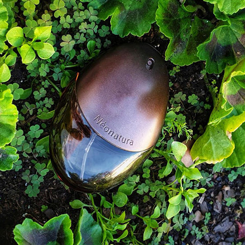 Yves Rocher Neonatura Eau de Parfum, 50 ml - OleBella