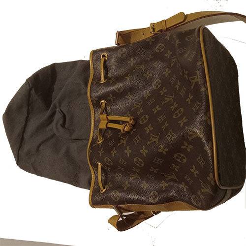 Authentic Louis Vuitton Noe Monogram Bucket Handbag - OleBella