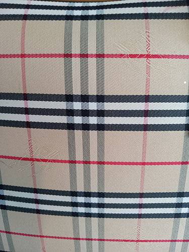 Authentic Burberry London Plaid Canvas Handbag - OleBella