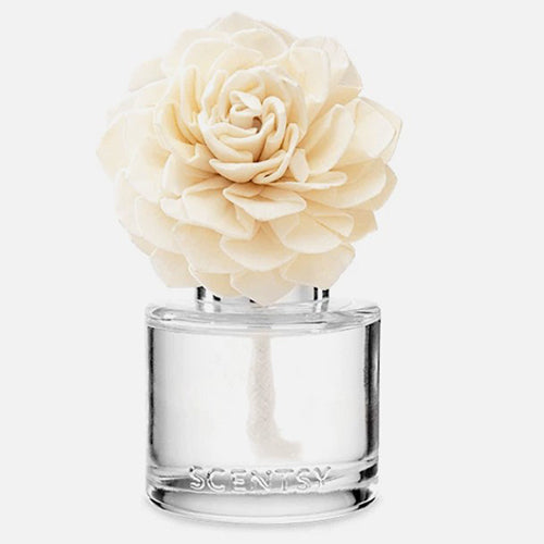 Scentsy Fragrance Flower- Home Fragrance - OleBella