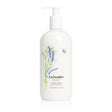 Craftree & Evelyn Sweet Almond Oil Body Lotion, 16.9 oz - OleBella