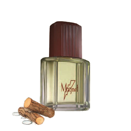 Stanhome Magnet Fragrance for Men, 55 ml - OleBella