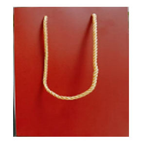 Accessories Red Gift Bag