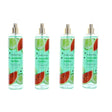Cucumber Melon by Bodycology, 4 Pack 8 oz Fragrance Mist for Women - OleBella