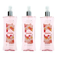 Sweet Sunrise Fantasy by Body Fantasies, 3 Pack 8oz Fragrance Body Spray women - OleBella